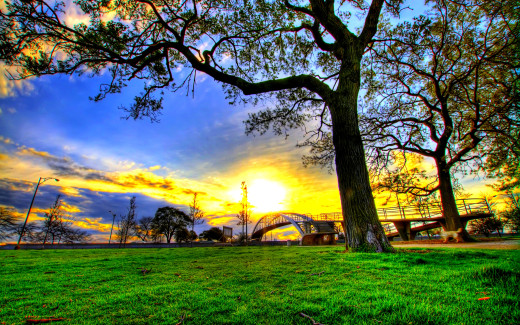 713504 (a): :2560x1600